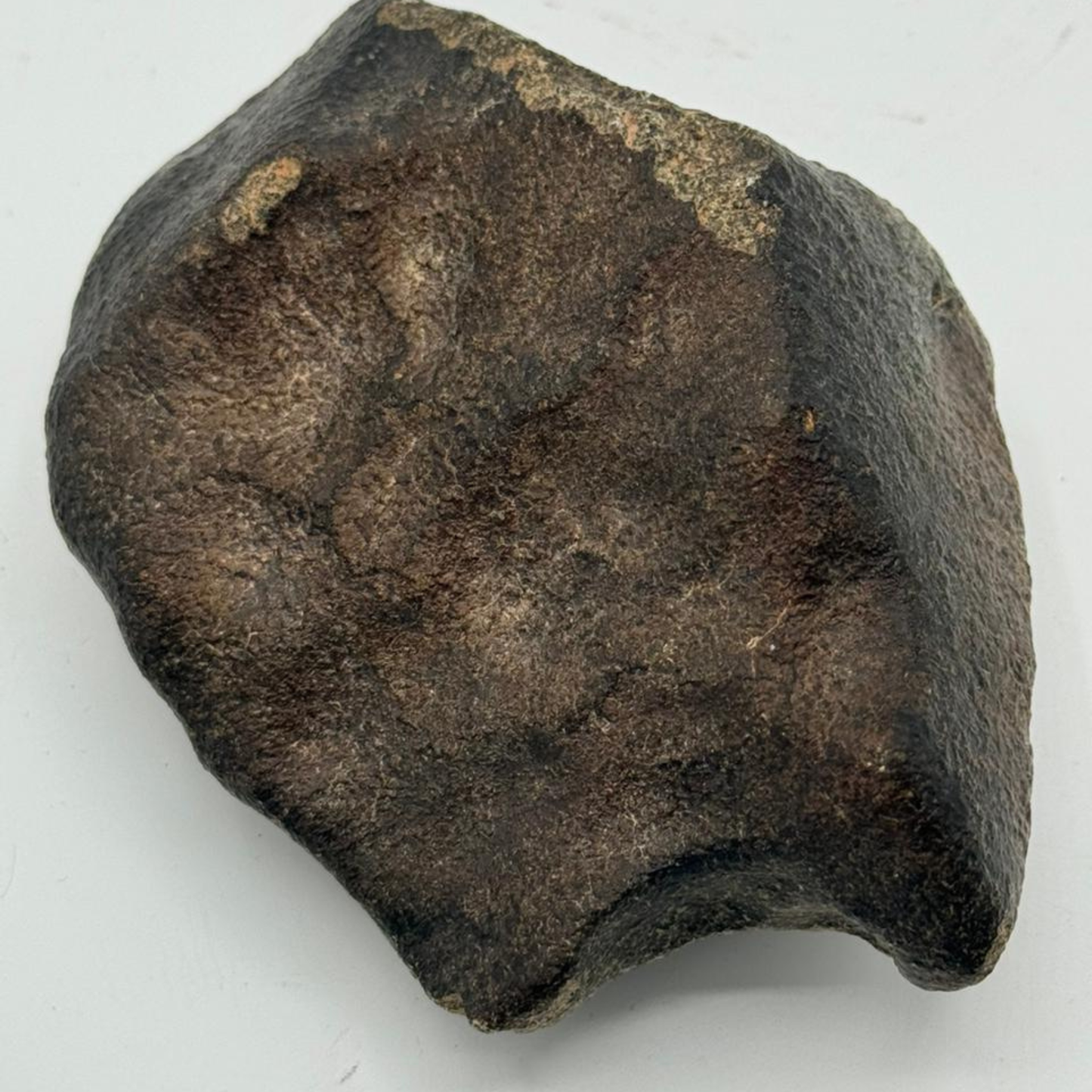 Premium Eucrite Meteorite NWA unclassified Specimen 449g