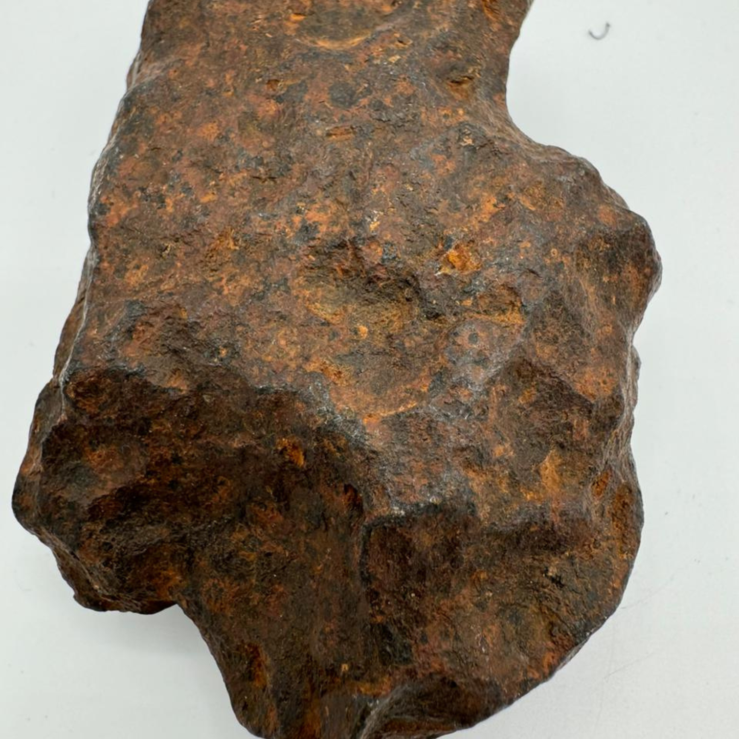 Iron meteorite JBEL KAMEL 1019g