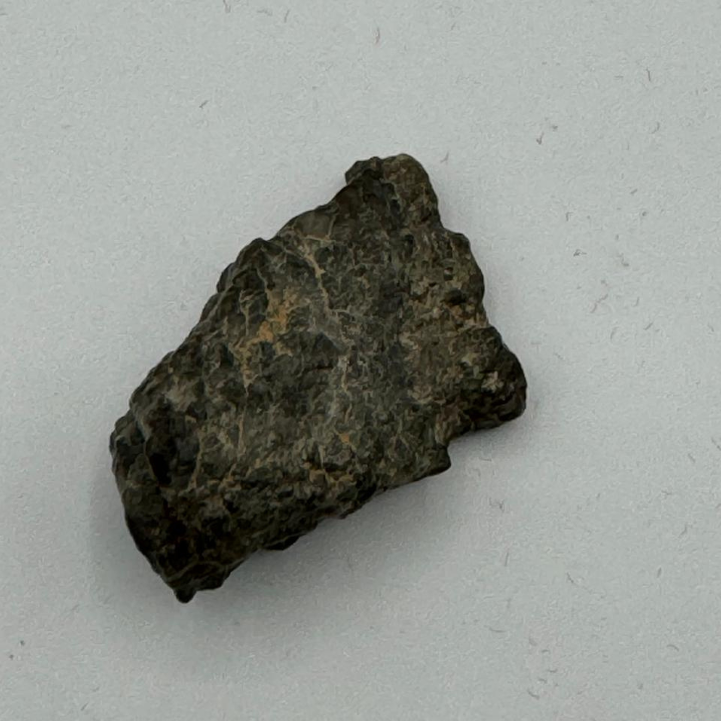 Lunar meteorite laayoune 002  8,8g