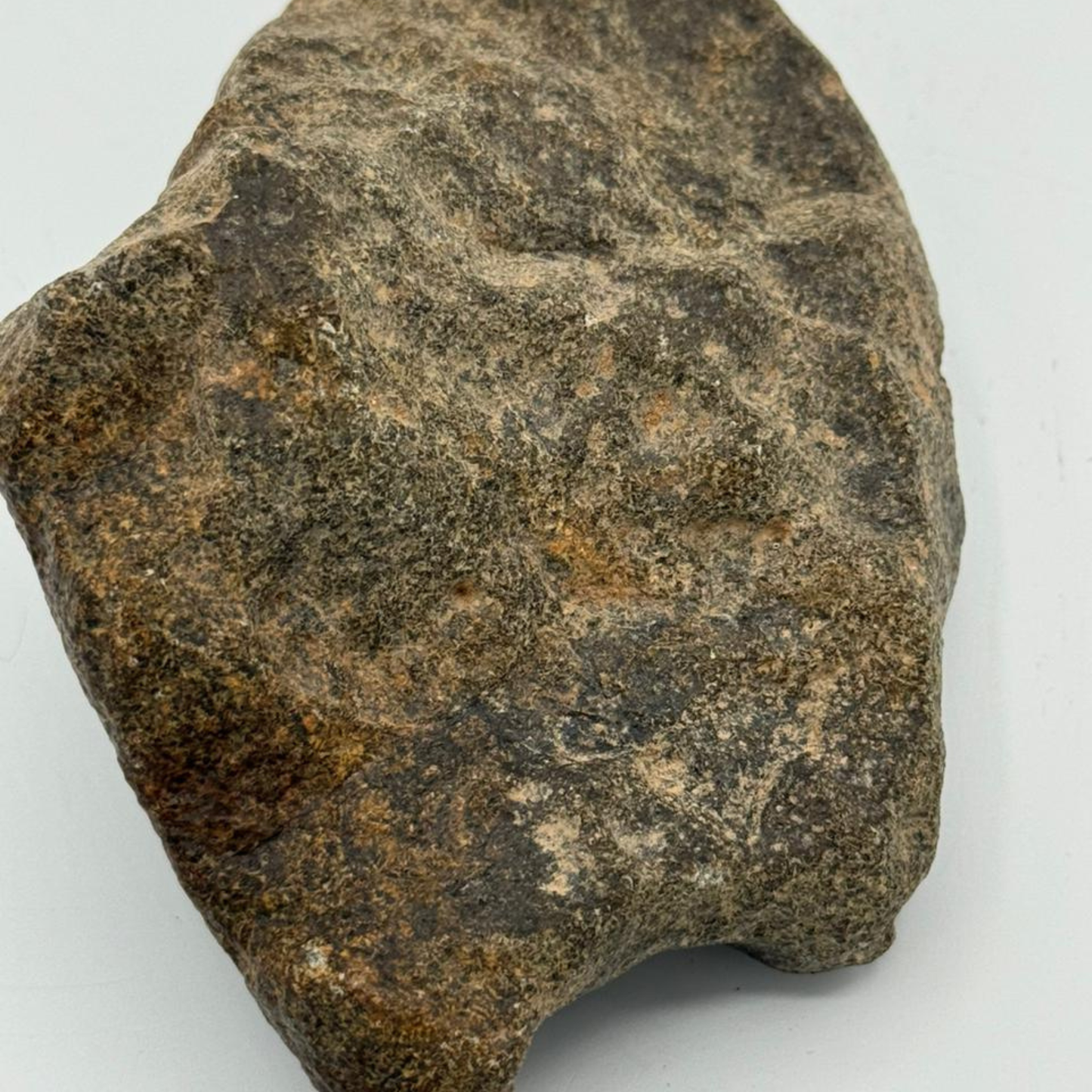 Premium Eucrite Meteorite NWA unclassified Specimen 449g