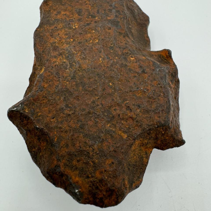 Iron meteorite JBEL KAMEL 1019g
