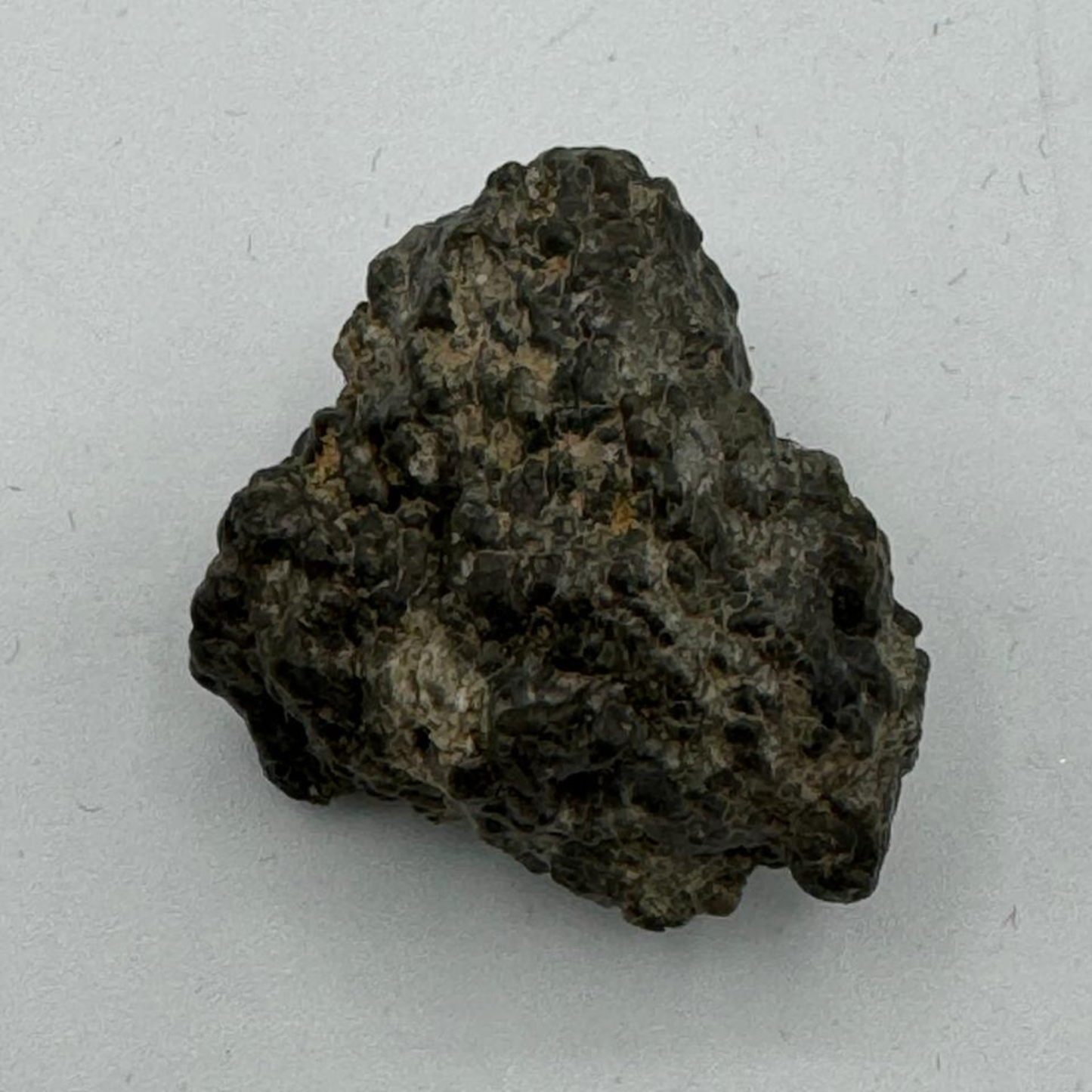 Lunar meteorite laayoune 002  9,4g