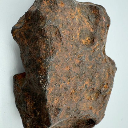 Iron meteorite JBEL KAMEL 1019g